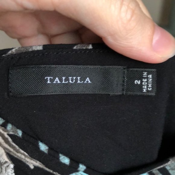 Talula/Aritzia Lipinski Skater Dress - Picture 8 of 14
